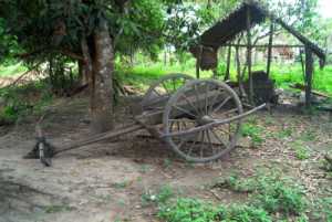 Kampong Thom Cart