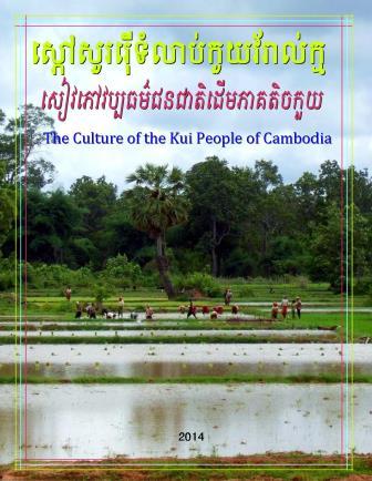 Culture Book cover